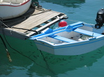 27624 Fish underneath boat in Corralejo harbour.jpg